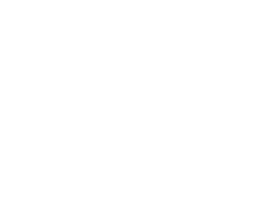 Phever Logo White